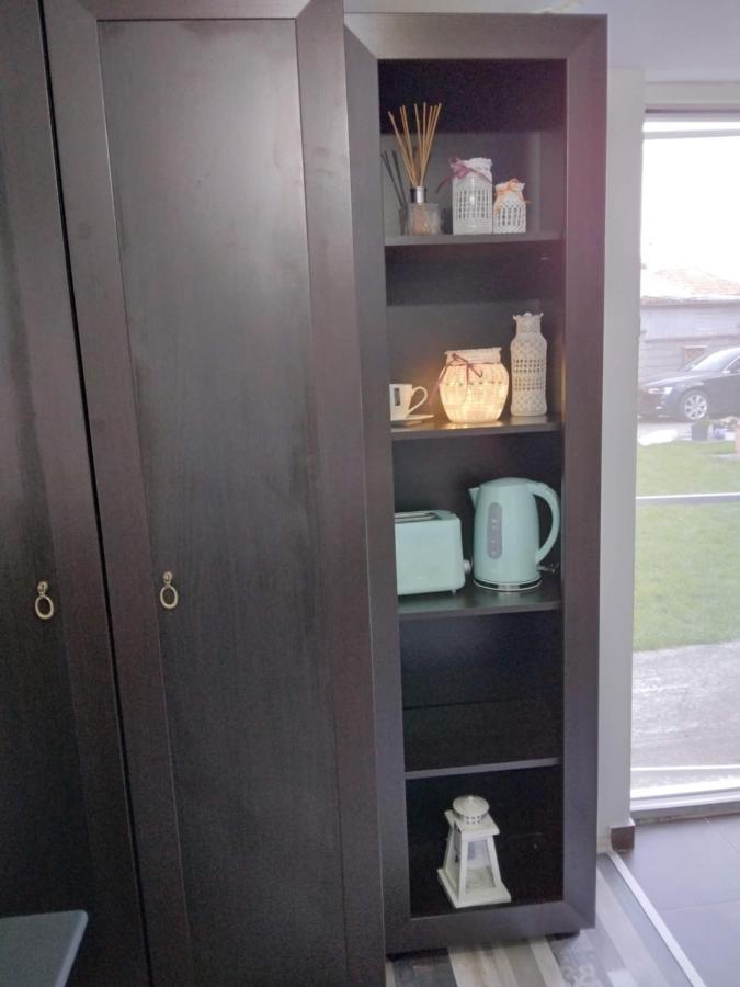 Studio Unique Apartment Timişoara Exterior foto