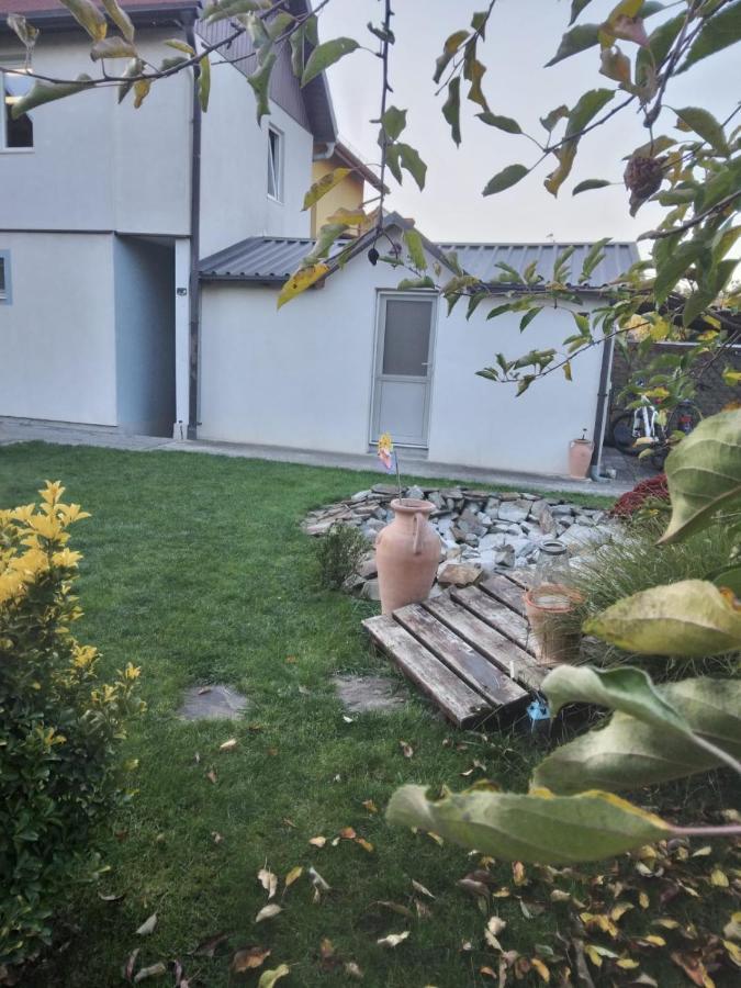 Studio Unique Apartment Timişoara Exterior foto