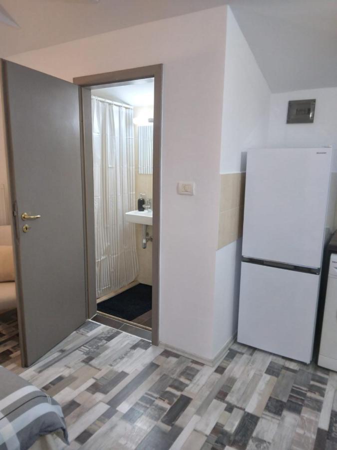 Studio Unique Apartment Timişoara Exterior foto