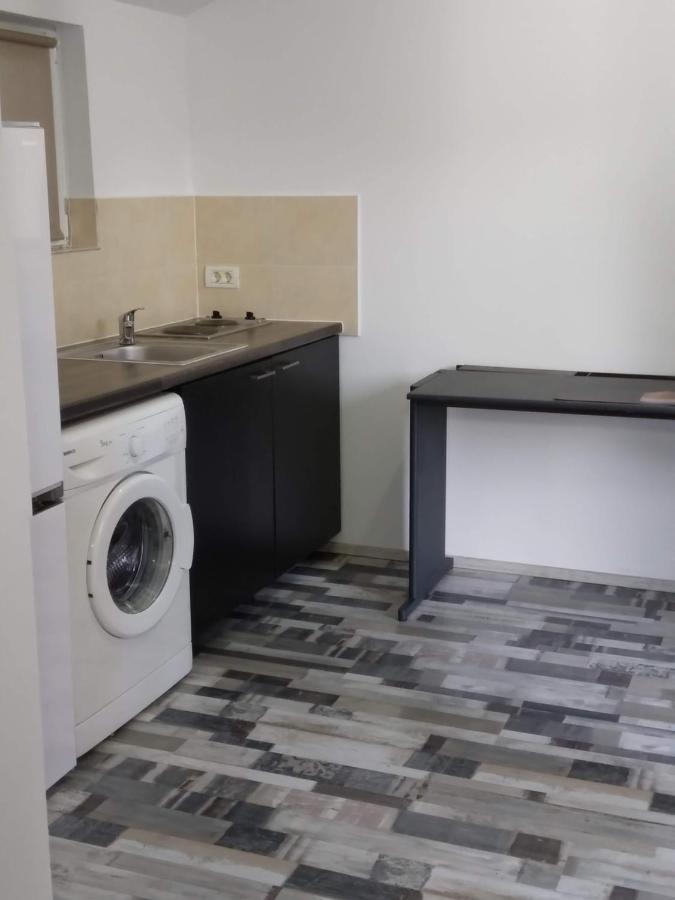 Studio Unique Apartment Timişoara Exterior foto