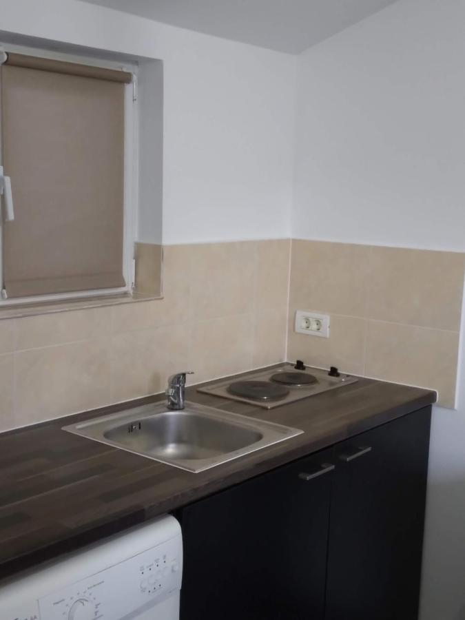 Studio Unique Apartment Timişoara Exterior foto